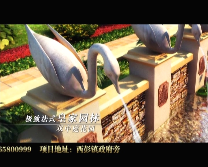 &#29699;&#36895;&#20307;&#32946;&#24179;&#21488;&#45;&#29699;&#36895;&#65288;&#20013;&#22269;&#65289;
