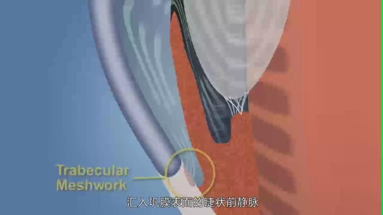 &#29699;&#36895;&#20307;&#32946;&#24179;&#21488;&#45;&#29699;&#36895;&#65288;&#20013;&#22269;&#65289;