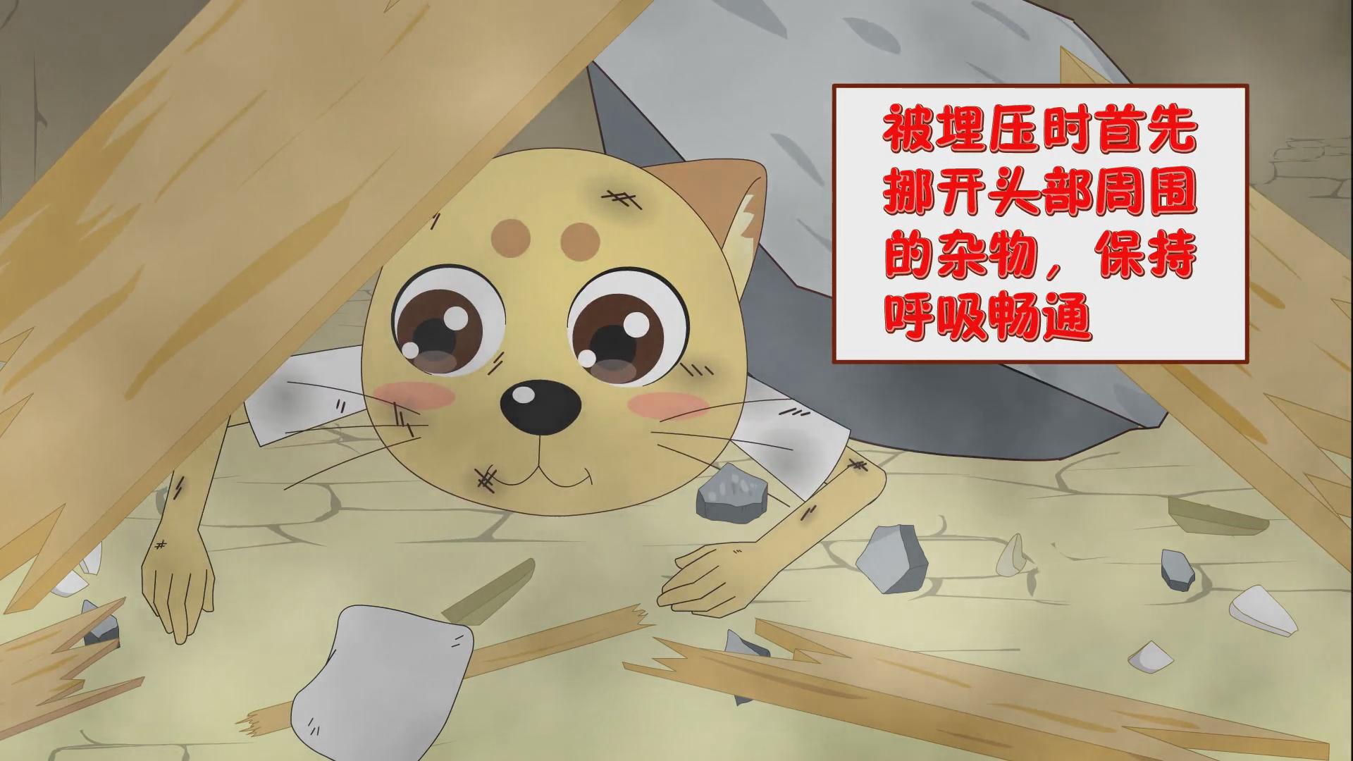 &#29699;&#36895;&#20307;&#32946;&#24179;&#21488;&#45;&#29699;&#36895;&#65288;&#20013;&#22269;&#65289;